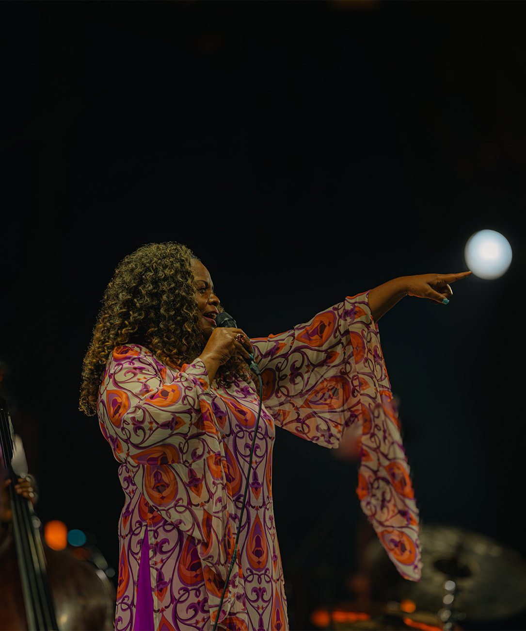 Akrajazz Dianne Reeves Galeri3