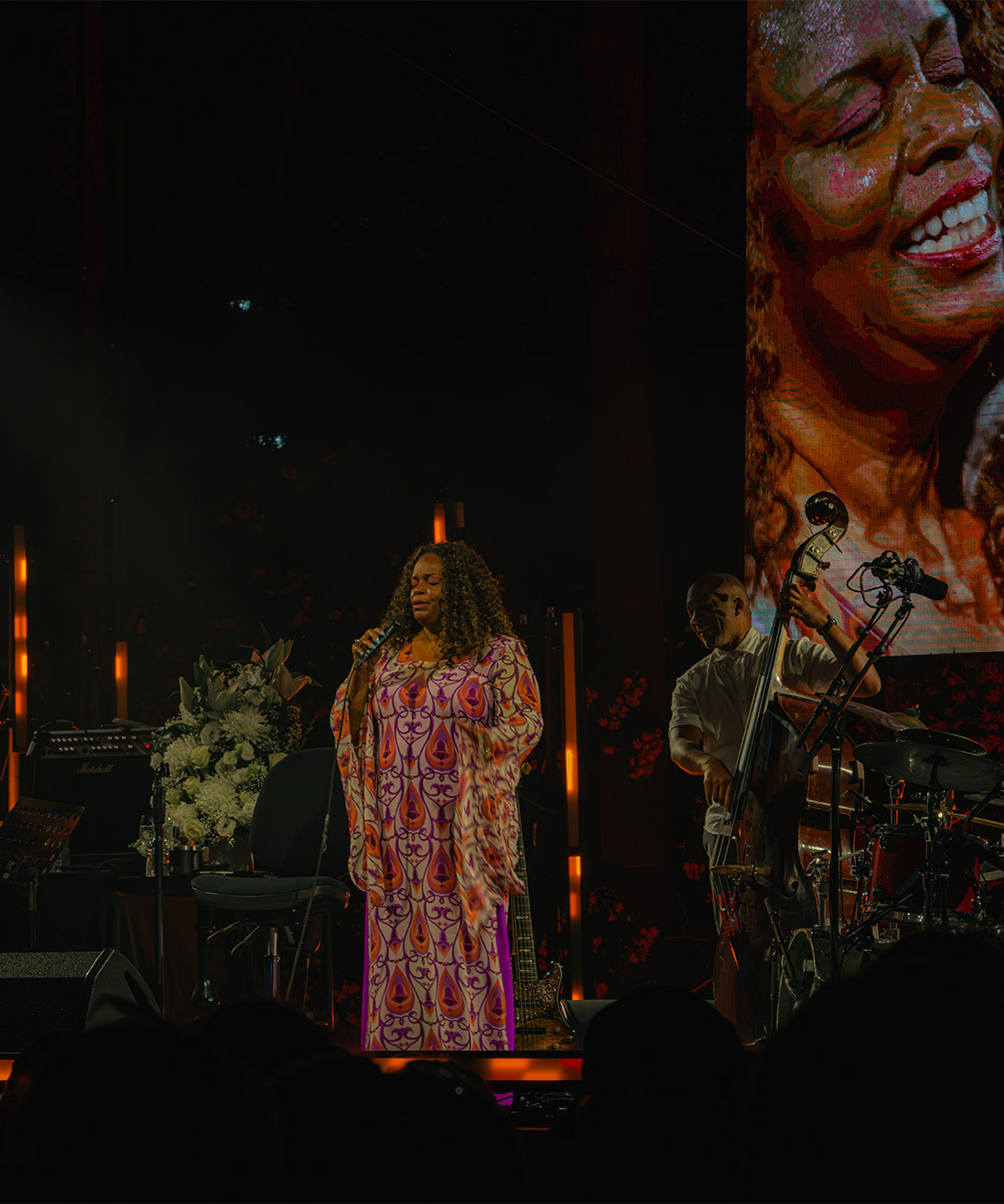 Akrajazz Dianne Reeves Galeri4